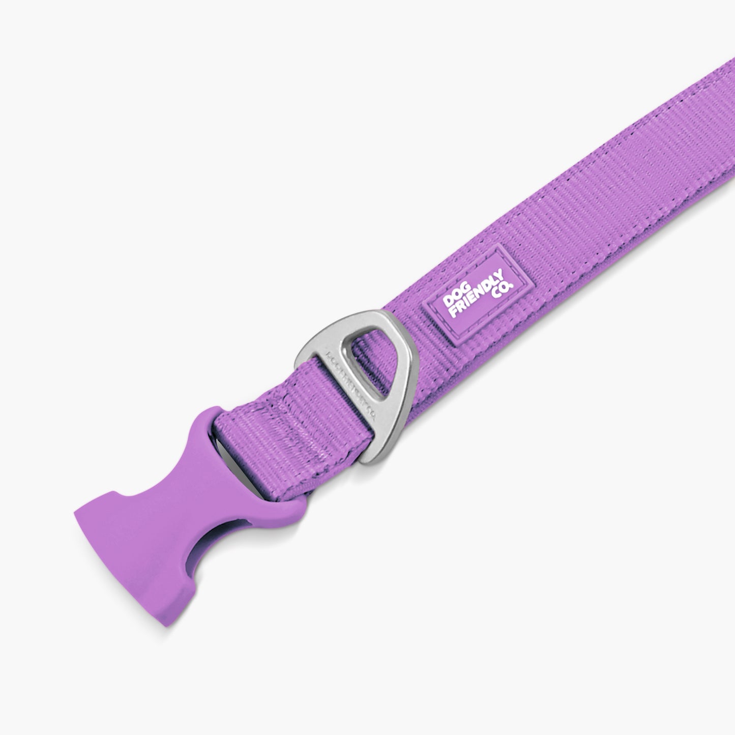Essentials Collar - Purple