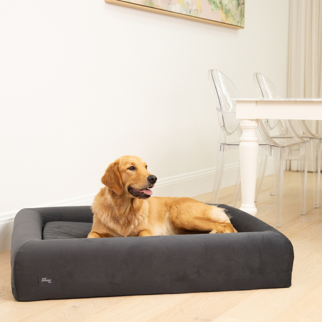 Premium Orthopedic Memory Foam Dog Bed - Charcoal (Small) – Dog Friendly Co. AE