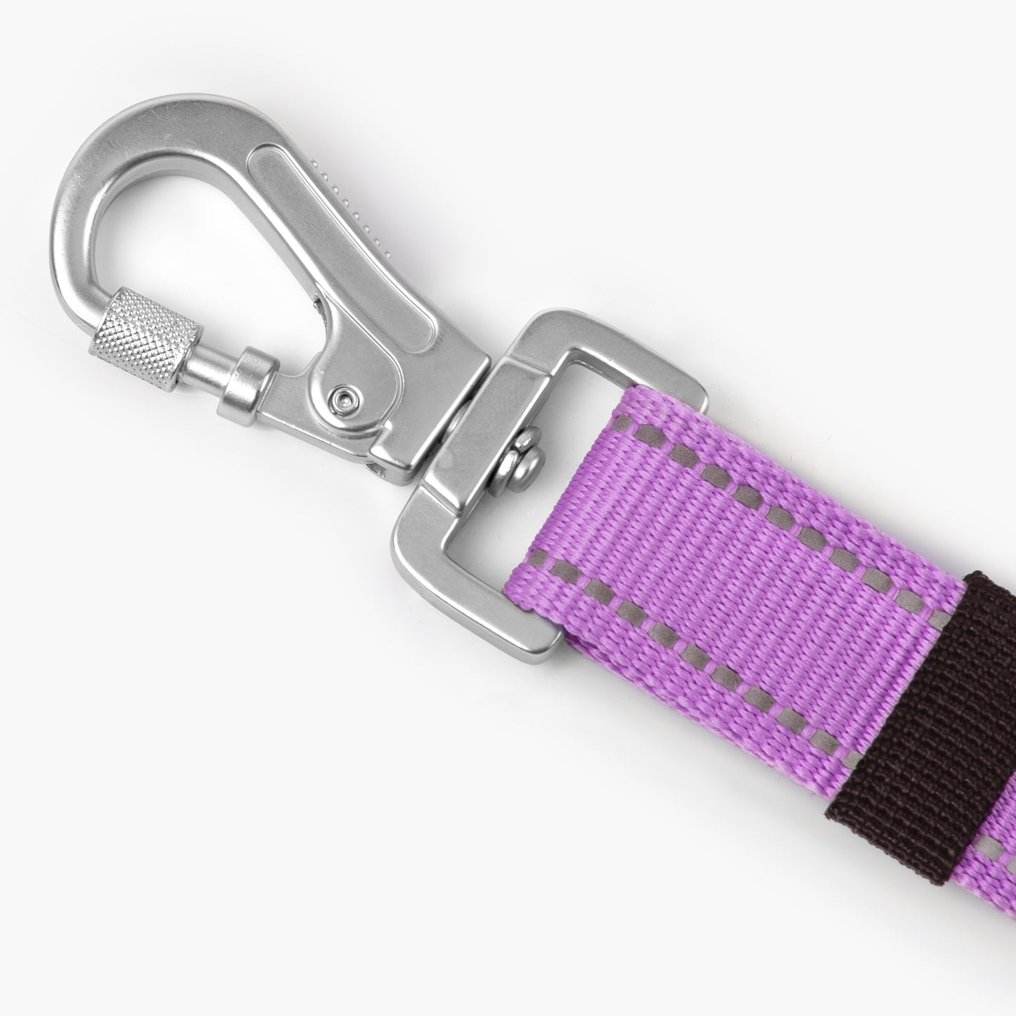 Dog Seat Belt - Purple