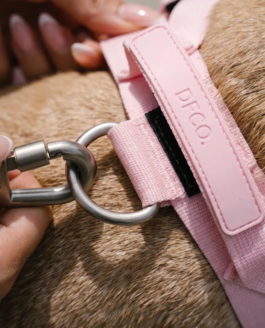 Pink harness with silver hardware